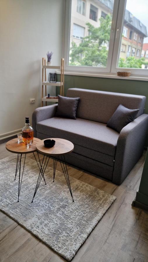 Ferienwohnung Stan Ideja Novi Sad Exterior foto